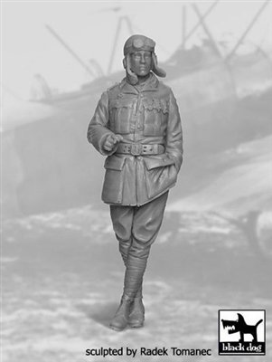 Black Dog F32023 - French Fighter Pilot No. 2, 1914-1918