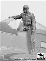 Black Dog F32143 - USAAF Fighter Pilot 1940-45 No. 4
