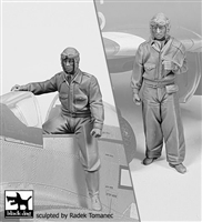 Black Dog F32144 - USAAF Fighter Pilot 1940-45 Set No. 2