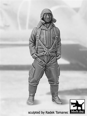 Black Dog F32145 - Japanese Fighter Pilot WW II No. 3