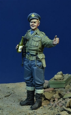 D-Day 35202 - WWII Canadian Pilot