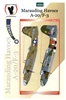 Eagle Strike 48204 - Marauding Havocs A-20/F-3, Part III
