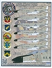 Furball 48-032 - Gray Phantoms (Early Schemed USAF F-4Cs in Vietnam)