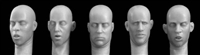 Hornet Heads HH20 - Bare Heads Looking Down or Reading
