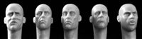 Hornet Heads HH21 - Heads, Gaunt / Battle Weary (European Faces)