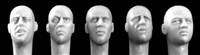 Hornet Heads HH24 - Bald Heads with European Features