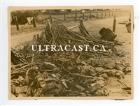 German Photo of Captured French Rifles and Equipment, France 1940, Original WW2 Photo