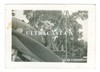 Ground Crewman Servicing a P-39 Airacobra, Original WWII Photo