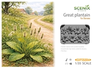 BSK Model SXP35004 - Great Plantain