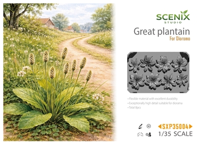 BSK Model SXP35004 - Great Plantain